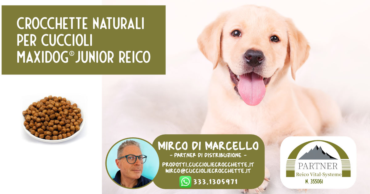 Crocchette naturali per cuccioli: MaxiDog® Junior Reico